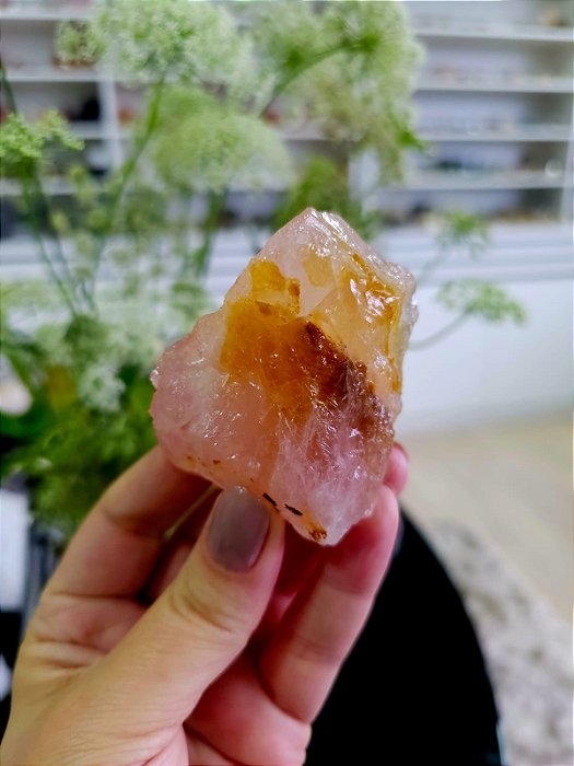 Quartzo Rosa com Golden Healer Extra