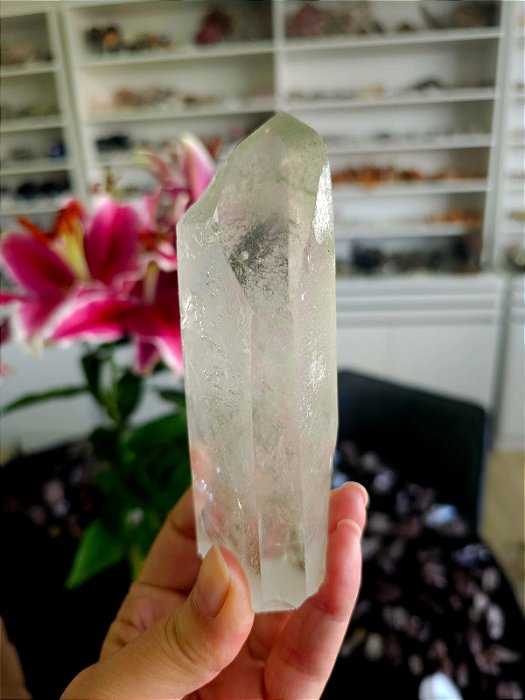 Mestre Semente Estelar com Clorita