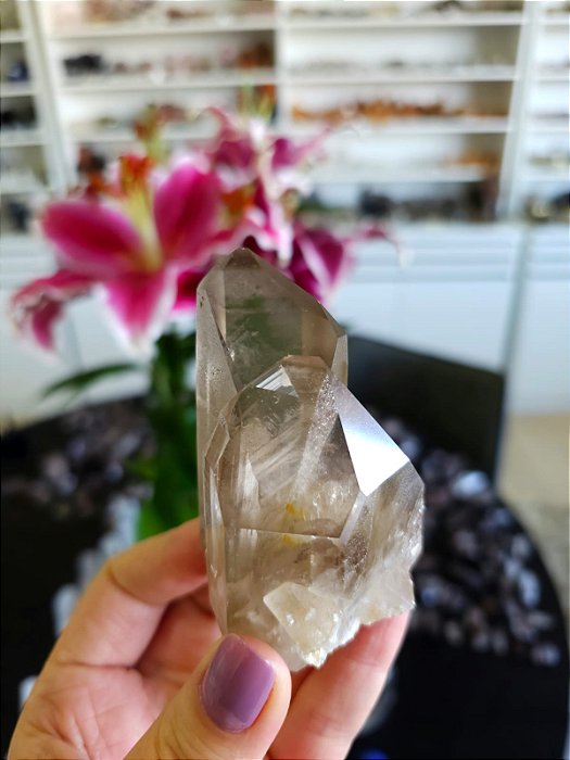 Drusa Phantom, Semente Estelar e Elo do Tempo Futuro