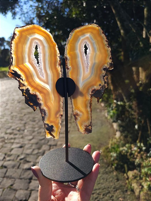 Borboleta de Ágata com Cristalização de Quartzo