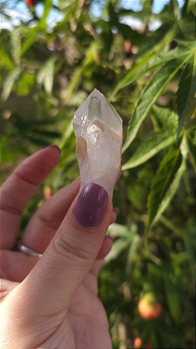 Phantom Dourado e Branco