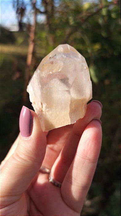 Phantom Dourado e Branco e Ponte para Dentro