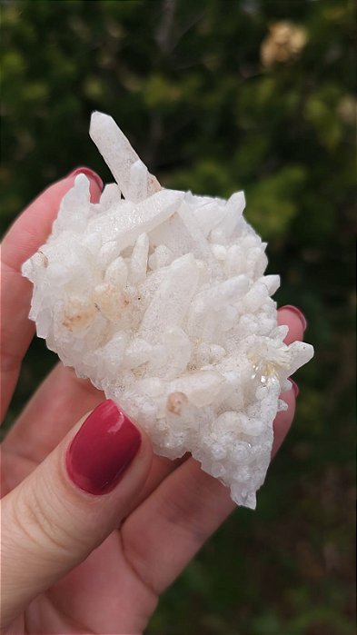 Drusa de Quartzo com Flor de Mica