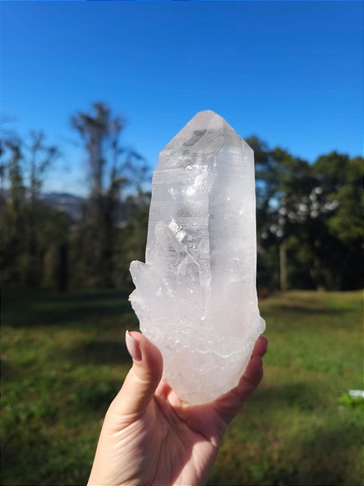 Mestre Autocurado Lemuriano