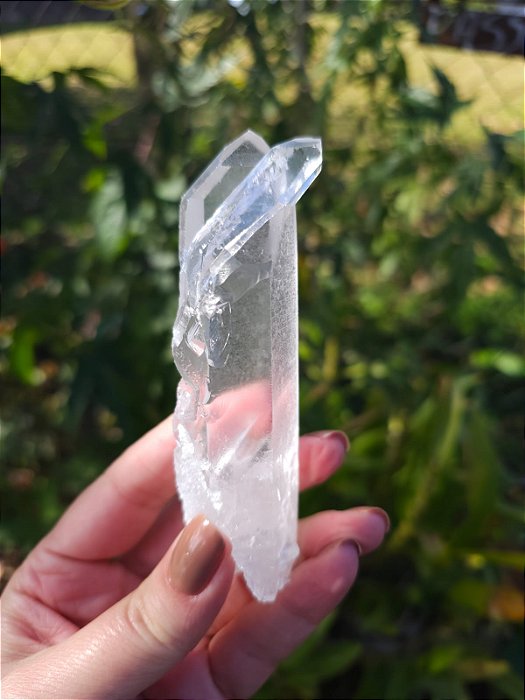 Mestre Semente Estelar com Chaves