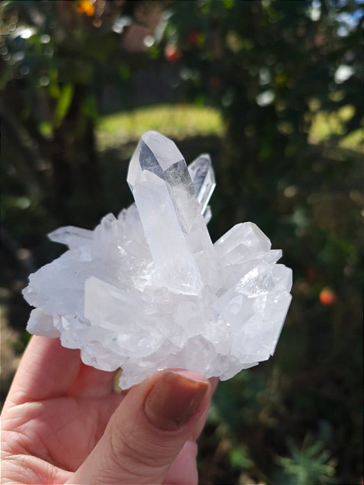 Drusa de Cristal