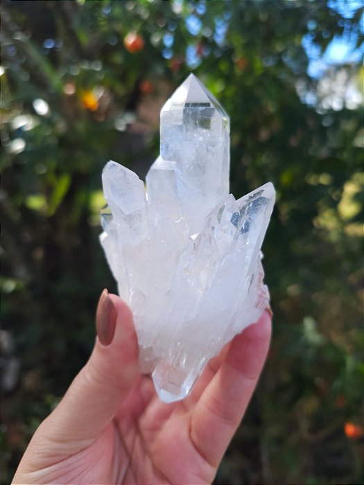 Drusa de Cristal com Biterminado Curvo
