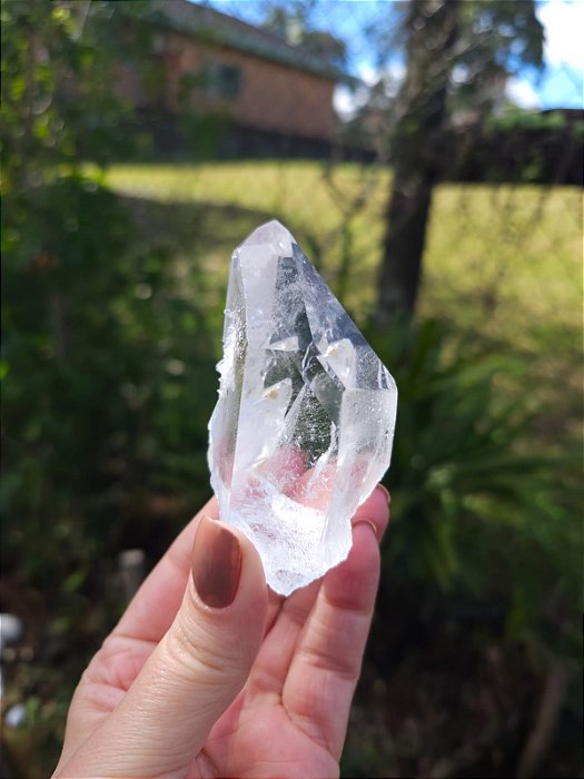 Mestre Ísis Agregadora, Semente Estelar e Elo do Tempo Passado