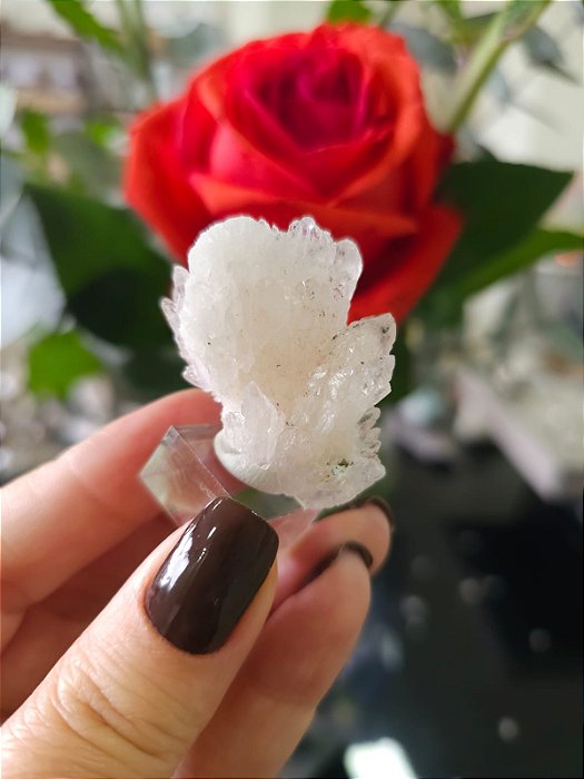 Flor de Cristal