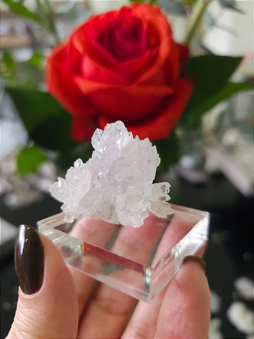 Flor de Cristal com Ametista