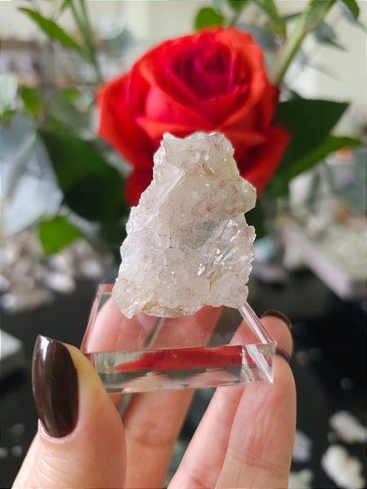 Flor de Cristal