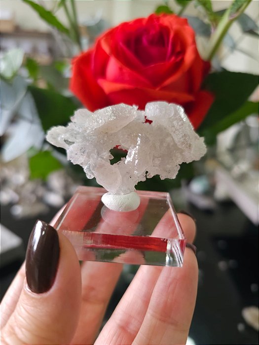 Flor de Cristal