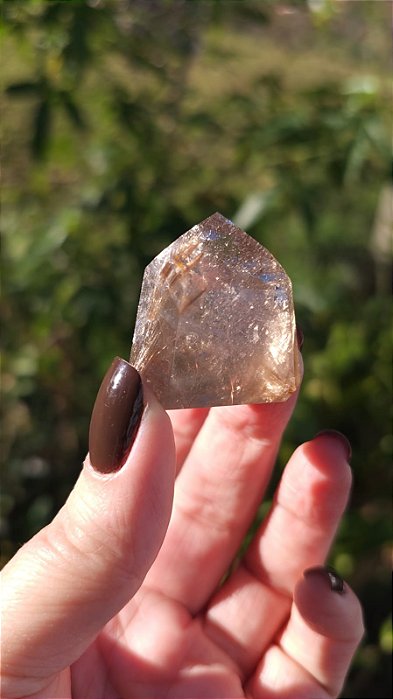 Quartzo com Rutilos Dourados