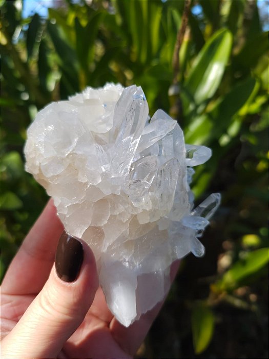 Drusa de Cristal Transparente