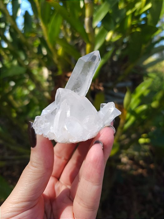 Drusa de Quartzo Cristal