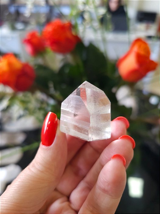 Mestre Lemuriano Semi Polido