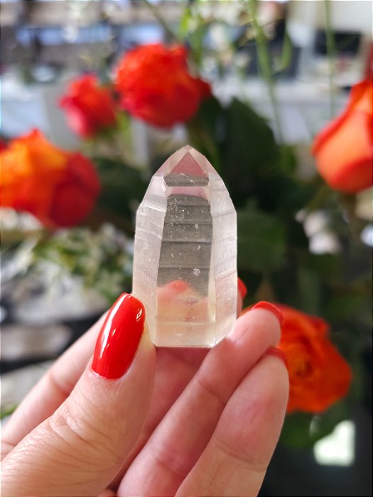 Mestre Lemuriano Semi Polido