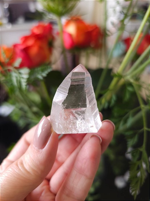 Mestre Lemuriano Semi Polido