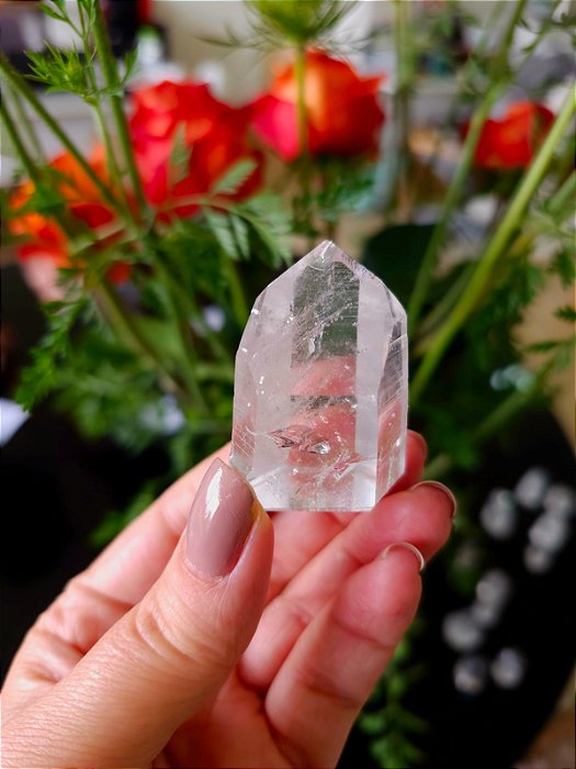 Mestre Lemuriano Semi Polido