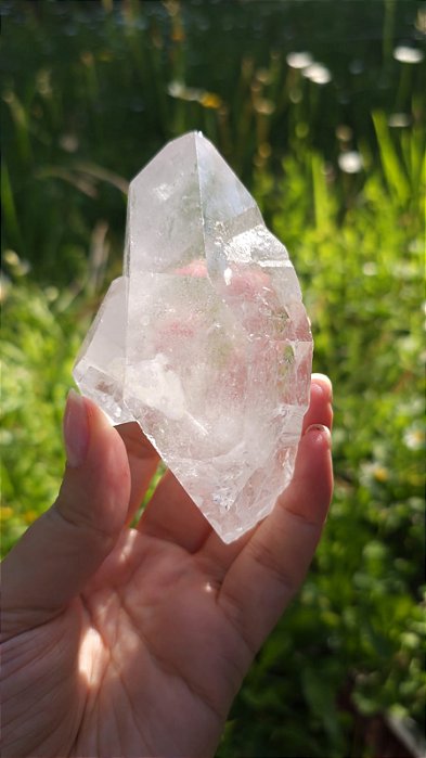 Mestre Semente Estelar Biterminado