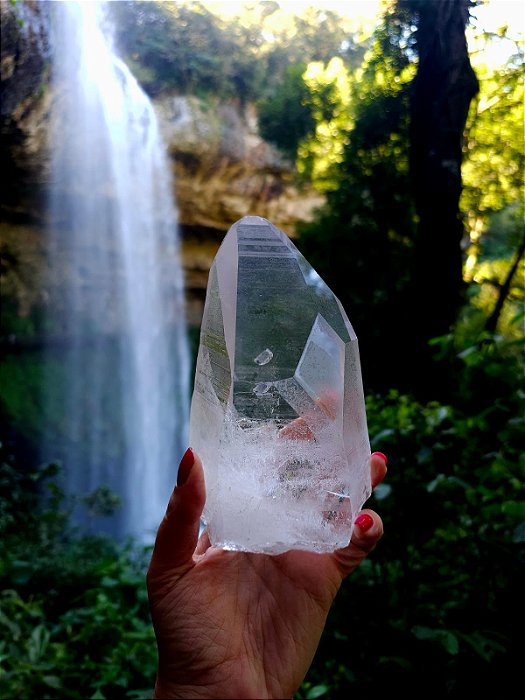 Lemuriano com Ponte Biterminada