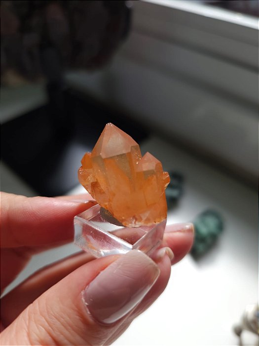 Drusa Tangerina