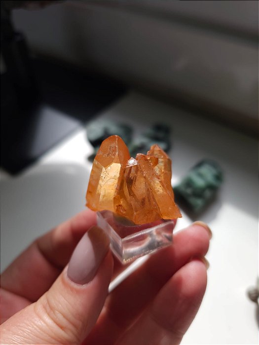 Drusa Tangerina