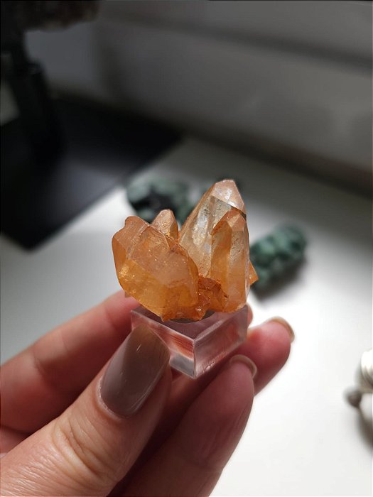 Drusa Tangerina