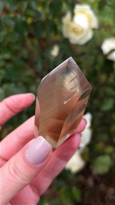 Phantom Fumê