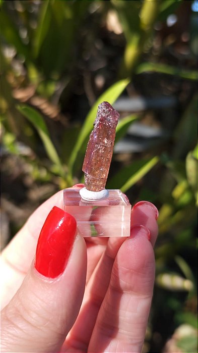 Topázio Imperial Lilás e Dourado