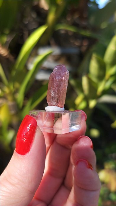 Topázio Imperial Lilás e Dourado