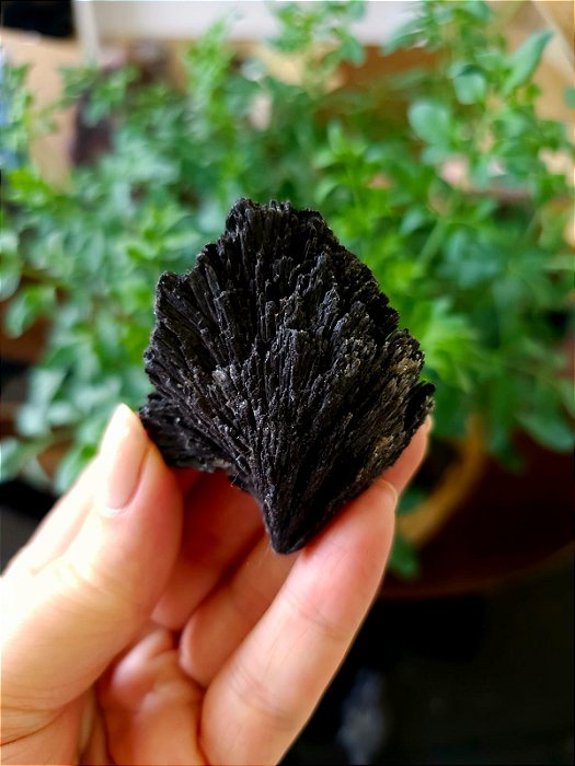 Cianita Negra - Vassoura de Bruxa