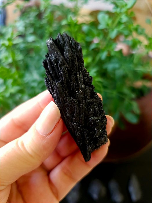 Cianita Negra - Vassoura de Bruxa