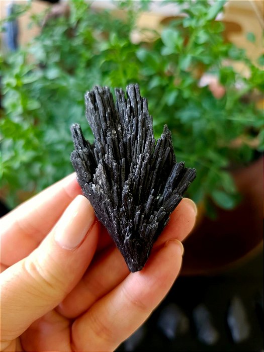 Cianita Negra - Vassoura de Bruxa