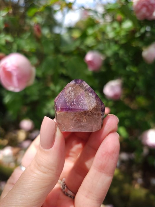 Casaco dos Sonhos - Dream Coat