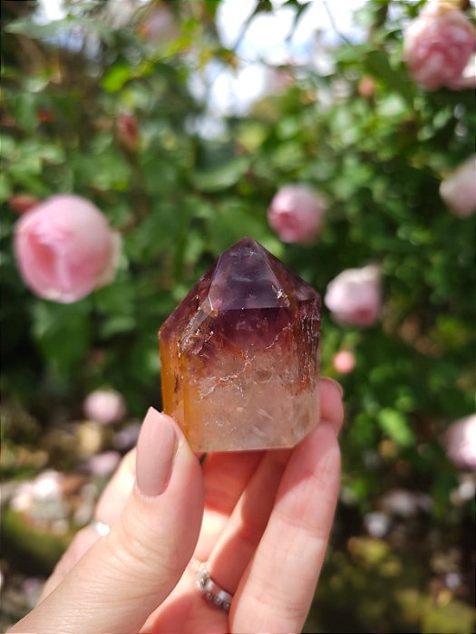 Casaco dos Sonhos - Dream Coat