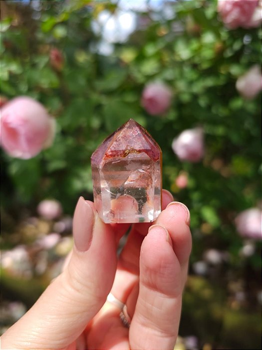 Casaco dos Sonhos - Dream Coat