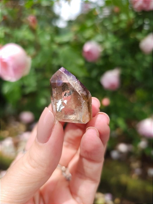 Casaco dos Sonhos - Dream Coat