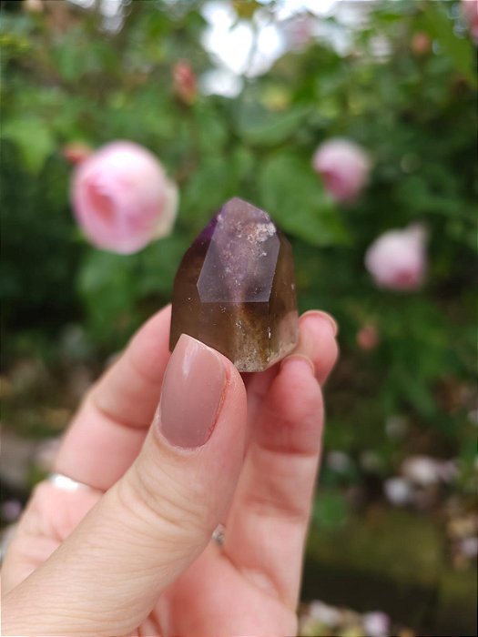 Casaco dos Sonhos - Dream Coat