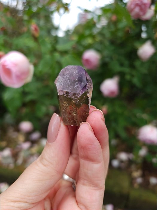 Casaco dos Sonhos - Dream Coat