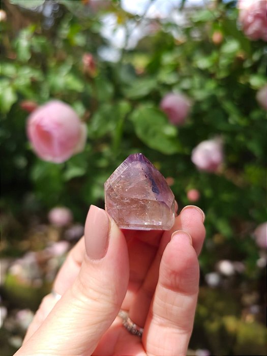 Casaco dos Sonhos - Dream Coat