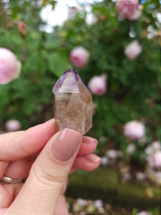 Casaco dos Sonhos - Dream Coat