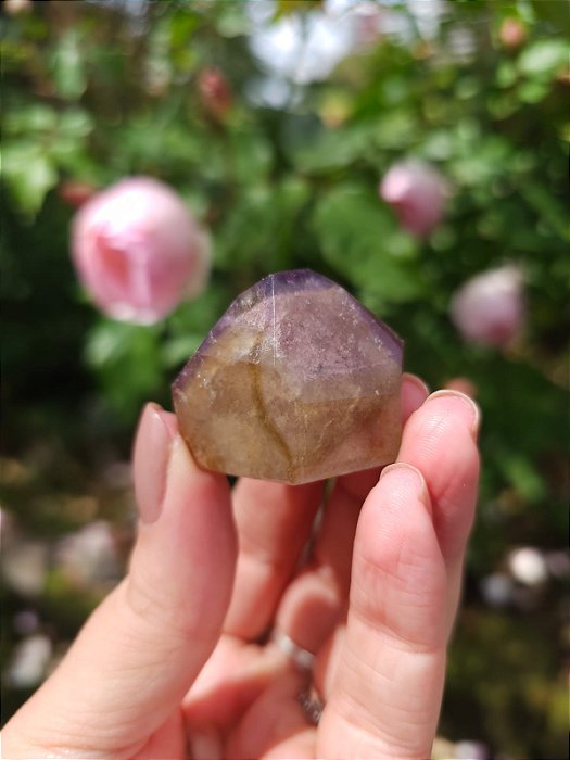 Casaco dos Sonhos - Dream Coat