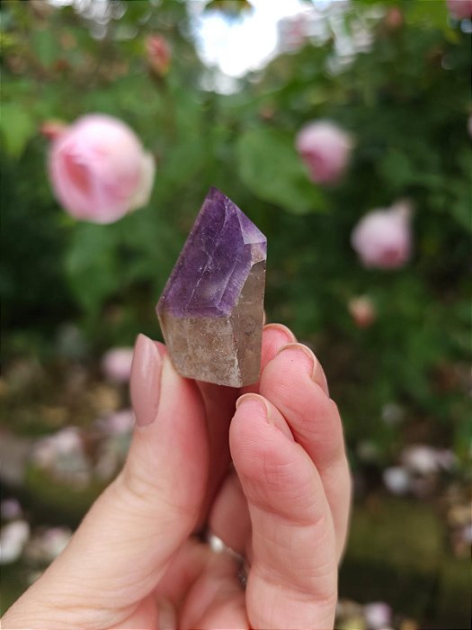 Casaco dos Sonhos - Dream Coat