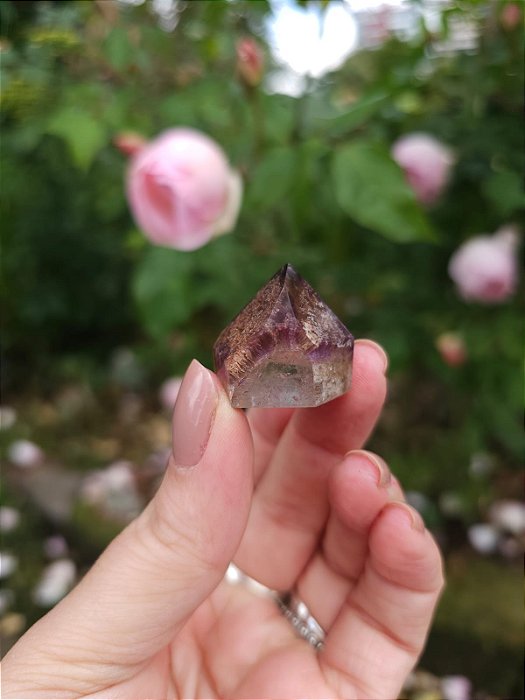 Casaco dos Sonhos - Dream Coat