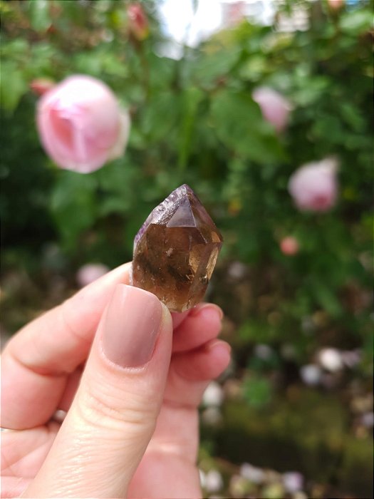 Casaco dos Sonhos - Dream Coat