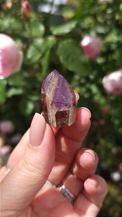 Casaco dos Sonhos - Dream Coat