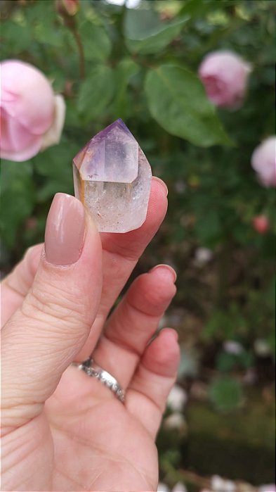 Casaco dos Sonhos - Dream Coat