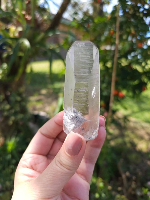 Mestre Lemuriano com Lodolita Branca