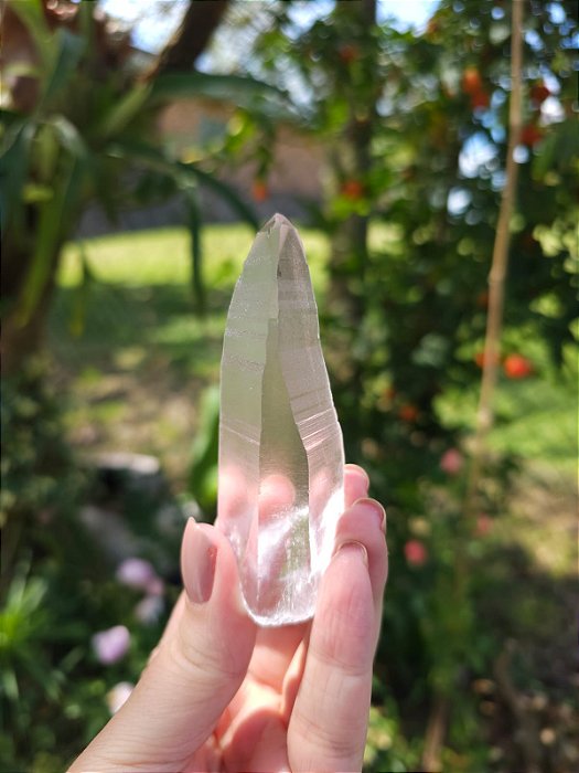 Mestre Lemuriano Curvo